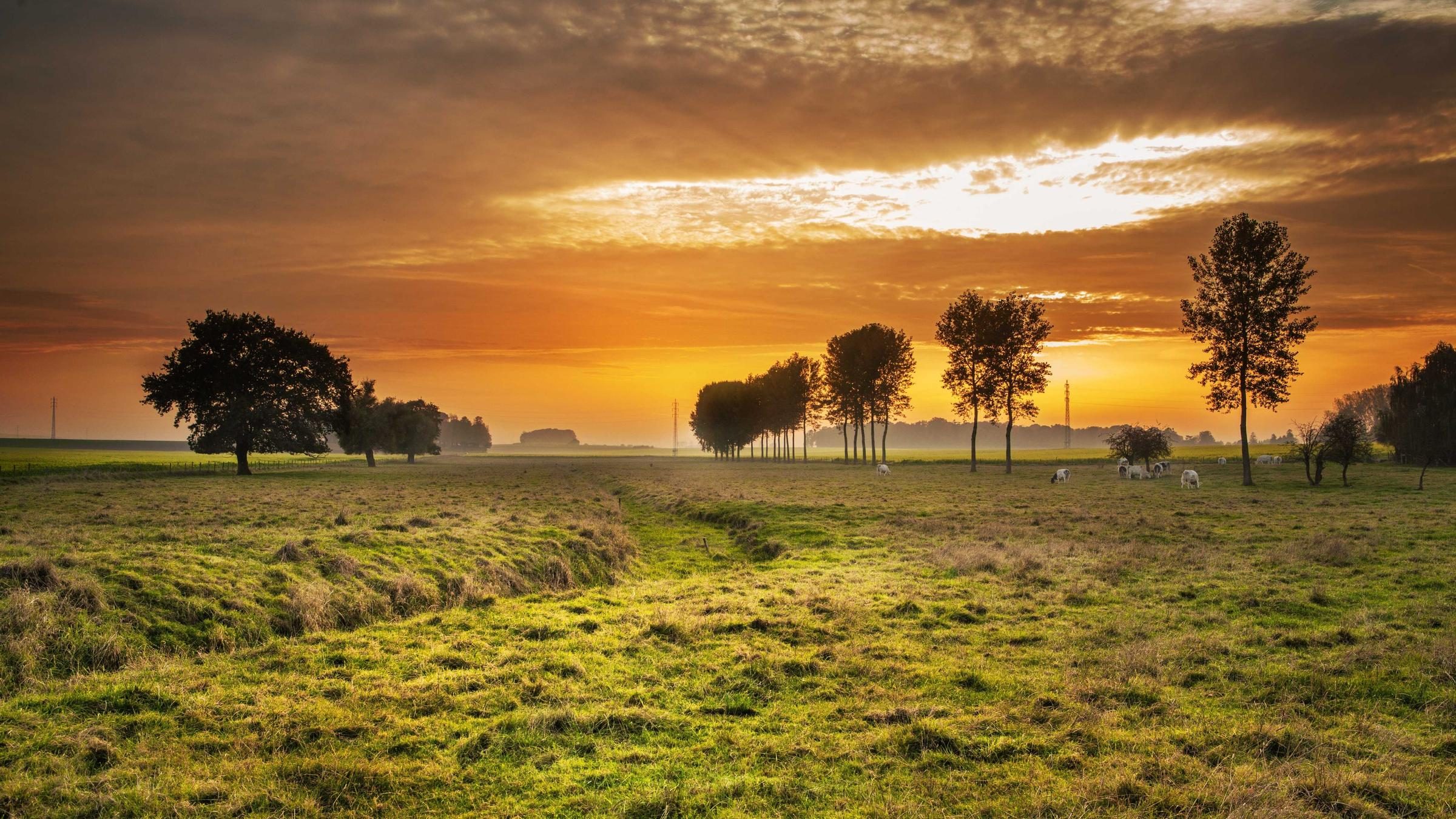 Placeholder landscape photograph number 02 from the High Key set
